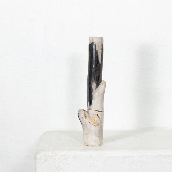 Petrified Wood Branch